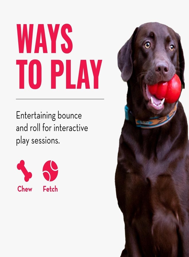 KONG Squeezz Ball for Dogs, Durable Dog Fetch Toy, Fun Bounce with Squeaker, Grippy Textures for Light Chewing, Safe, Non-Toxic, Gentle on Teeth & Gums, for Fetch, Chase, Assorted Colours, Large - Image 5